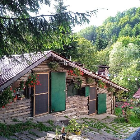Zimska Idila Apartment Crni Vrh Luaran gambar