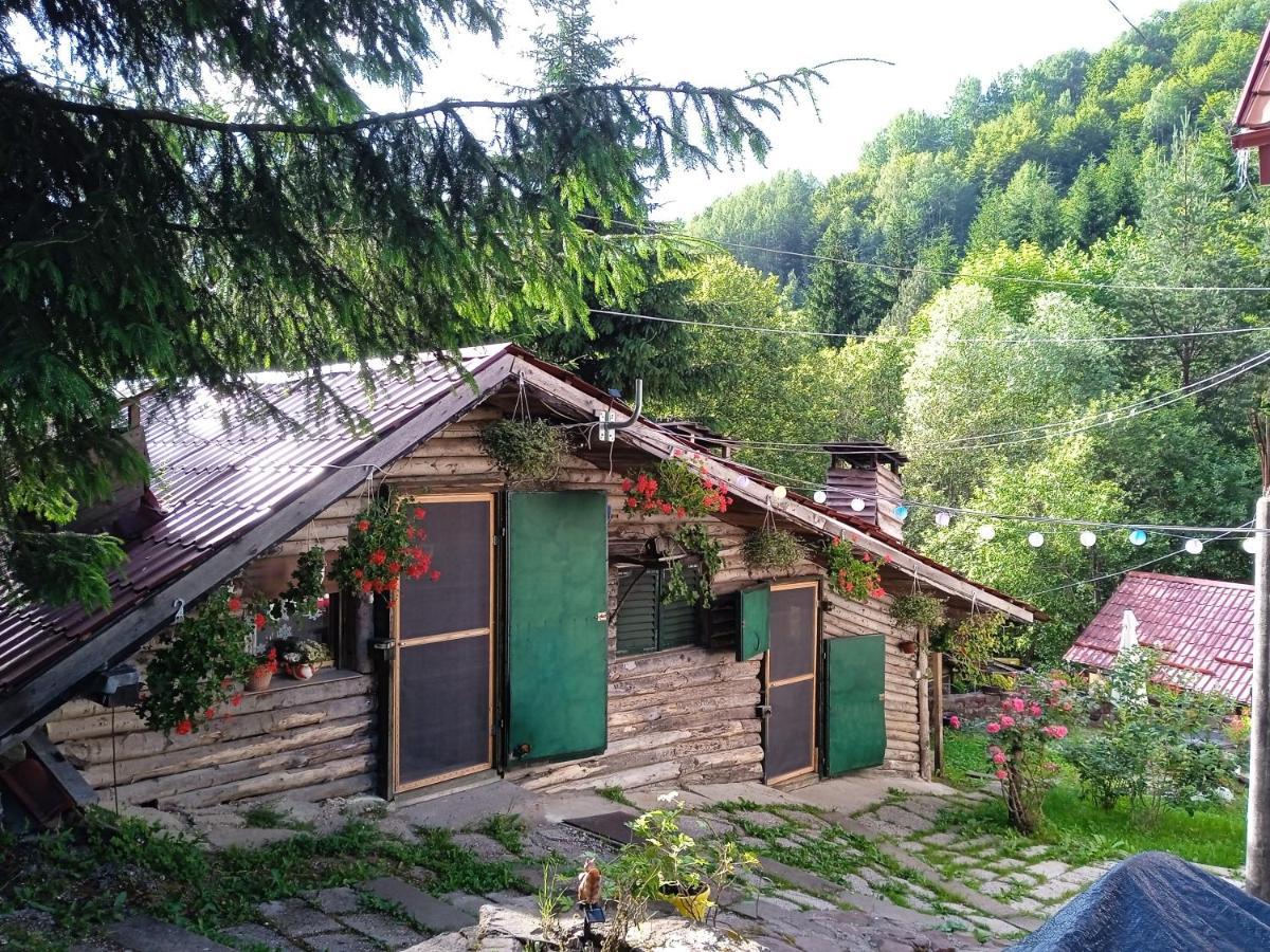 Zimska Idila Apartment Crni Vrh Luaran gambar